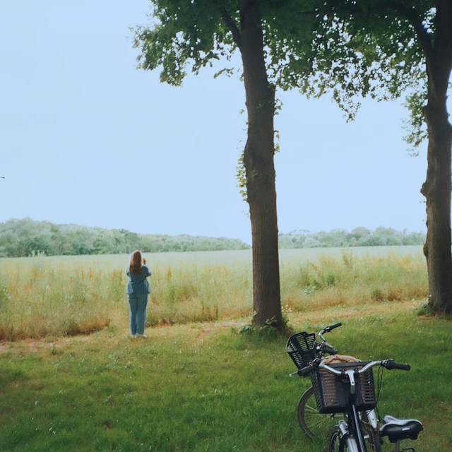 reyadreamer - Dreaming