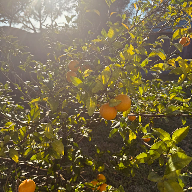 reyadreamer - Back in Time