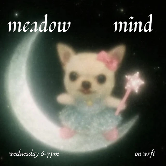 Mind Meadow Ep 46. ~ with Jessie Romero Silver