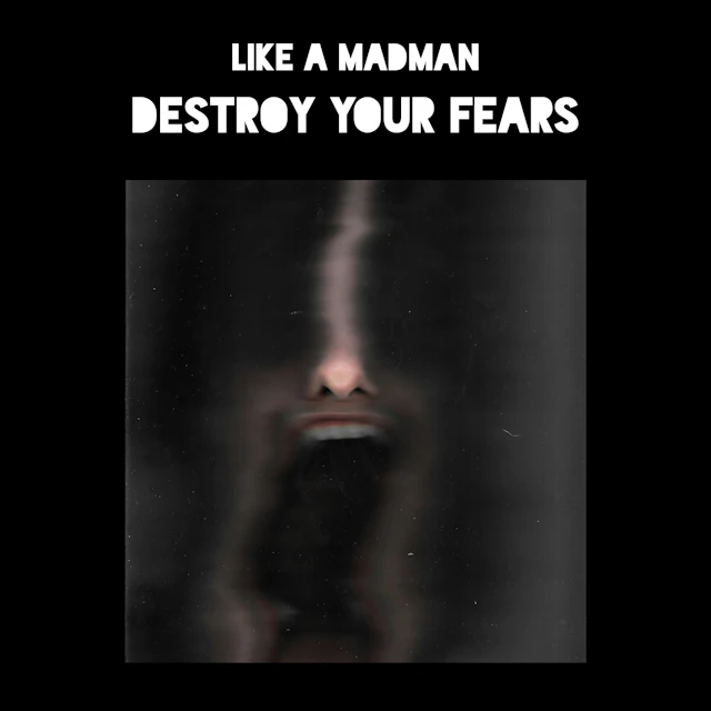 Like A MadMan - Destroy Your Fears
