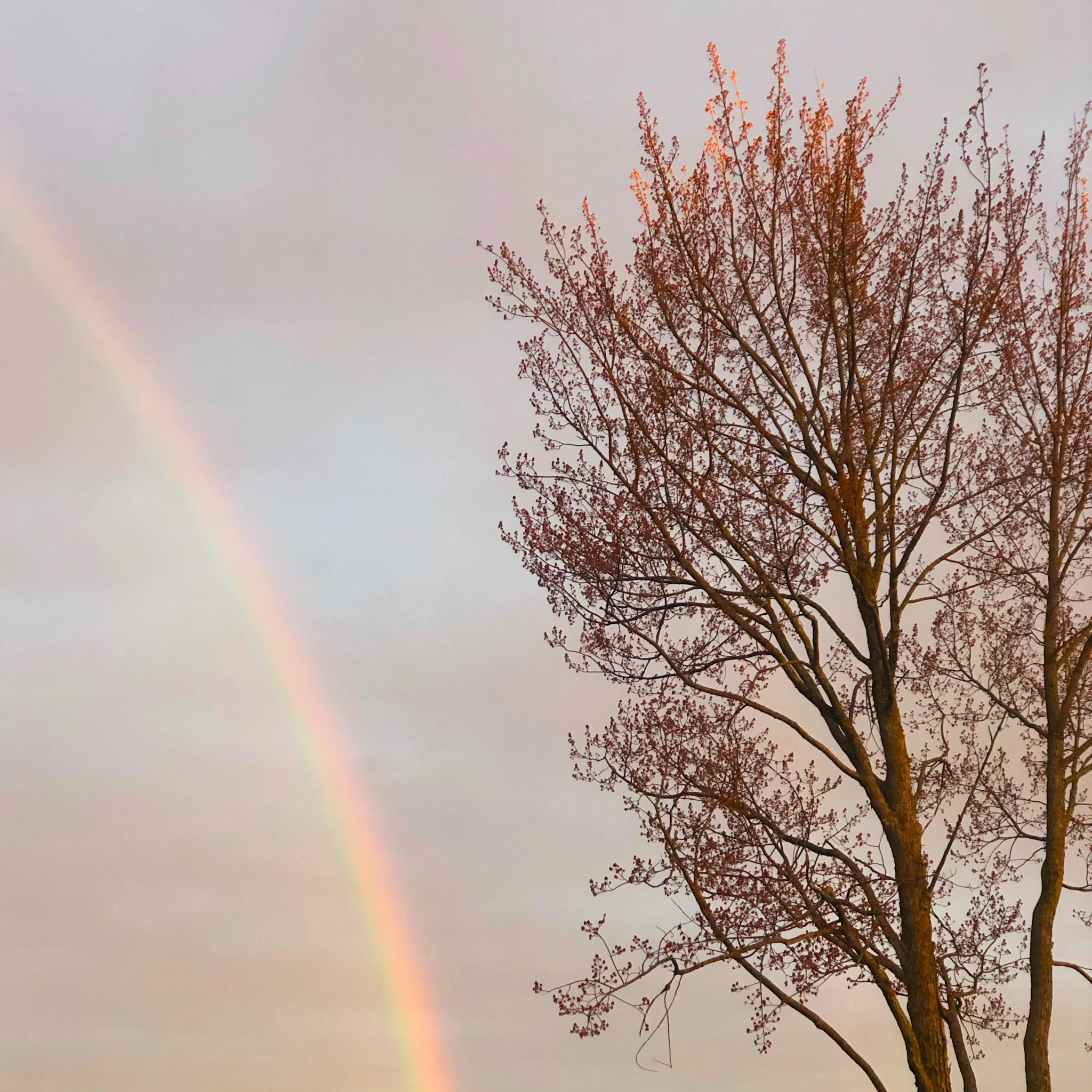 au secours - forever, forever