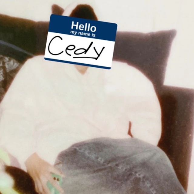 idek now (feat: my love birds)