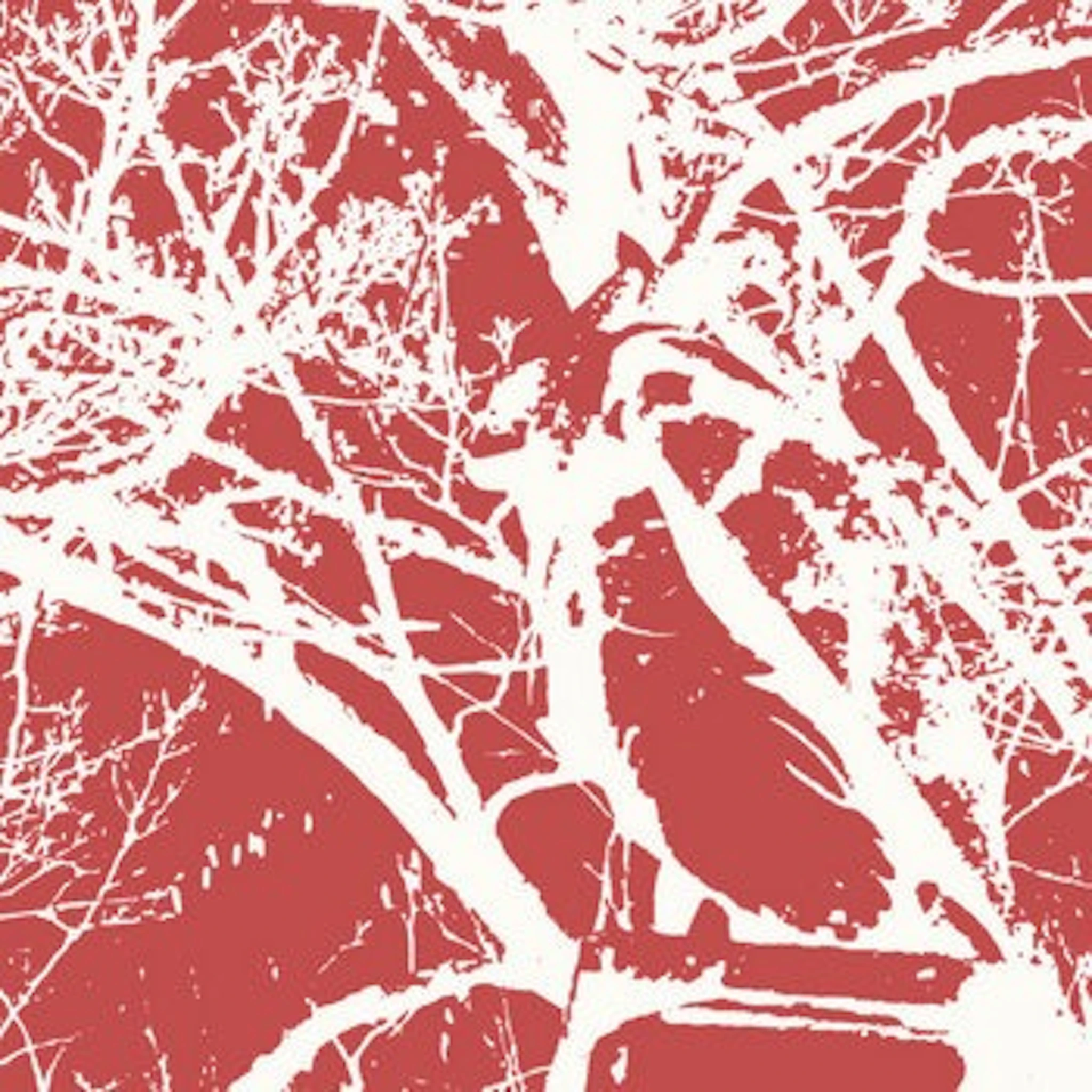 Sugar World - at the center / tulipmania