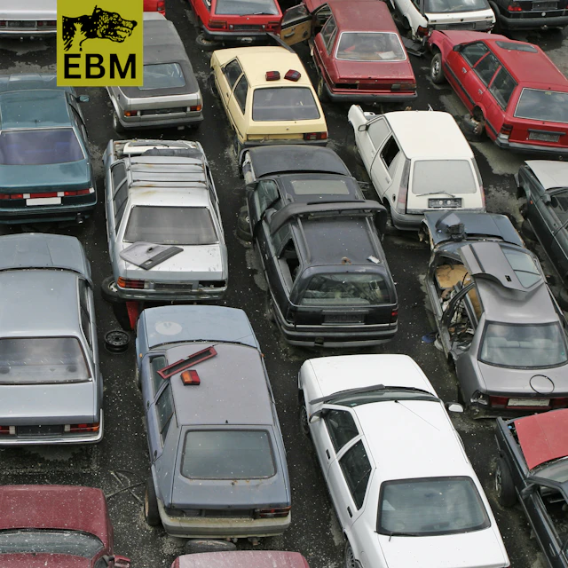 Henchmen From Planet Earth - Misspell Blues/Herd