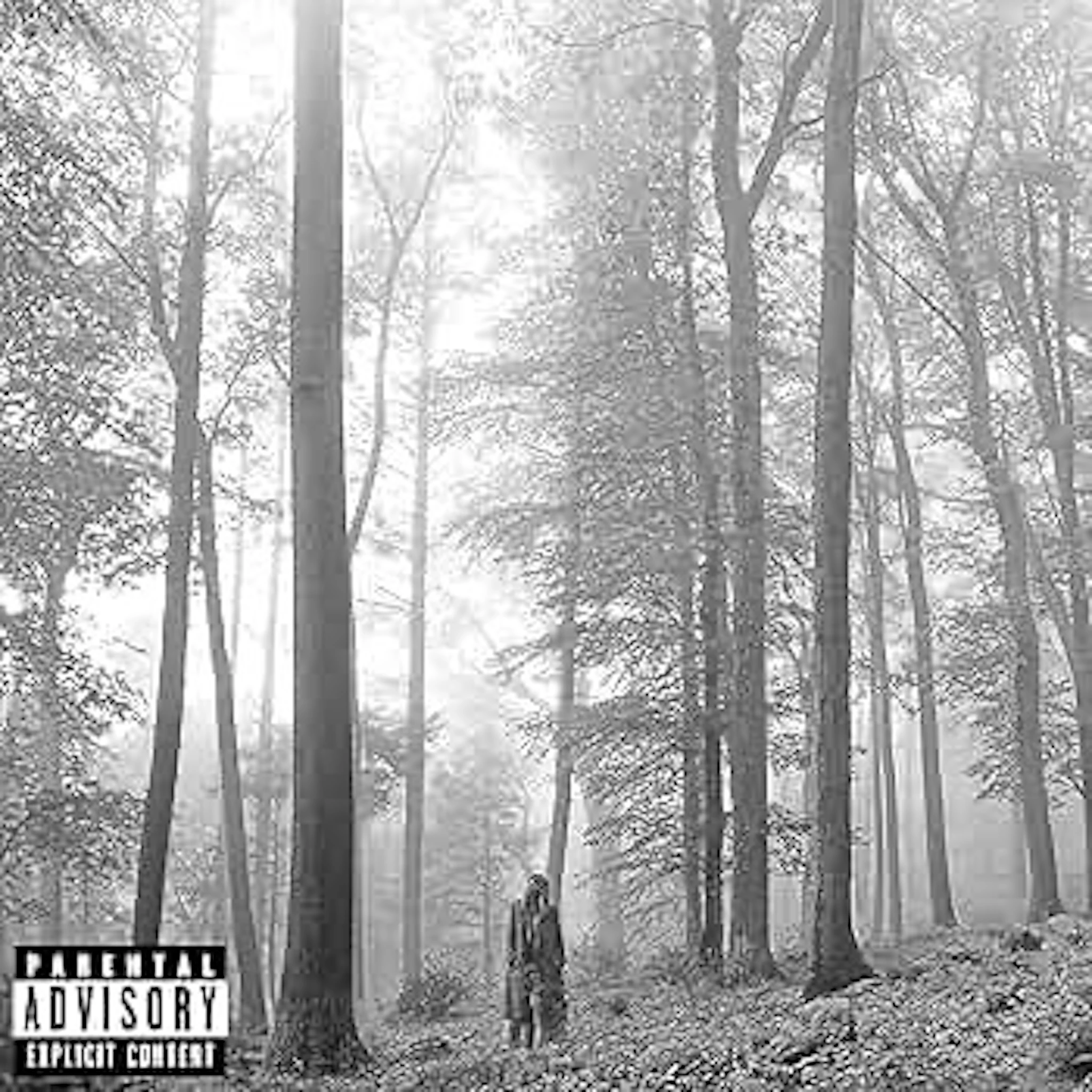 taylor swift - folklore