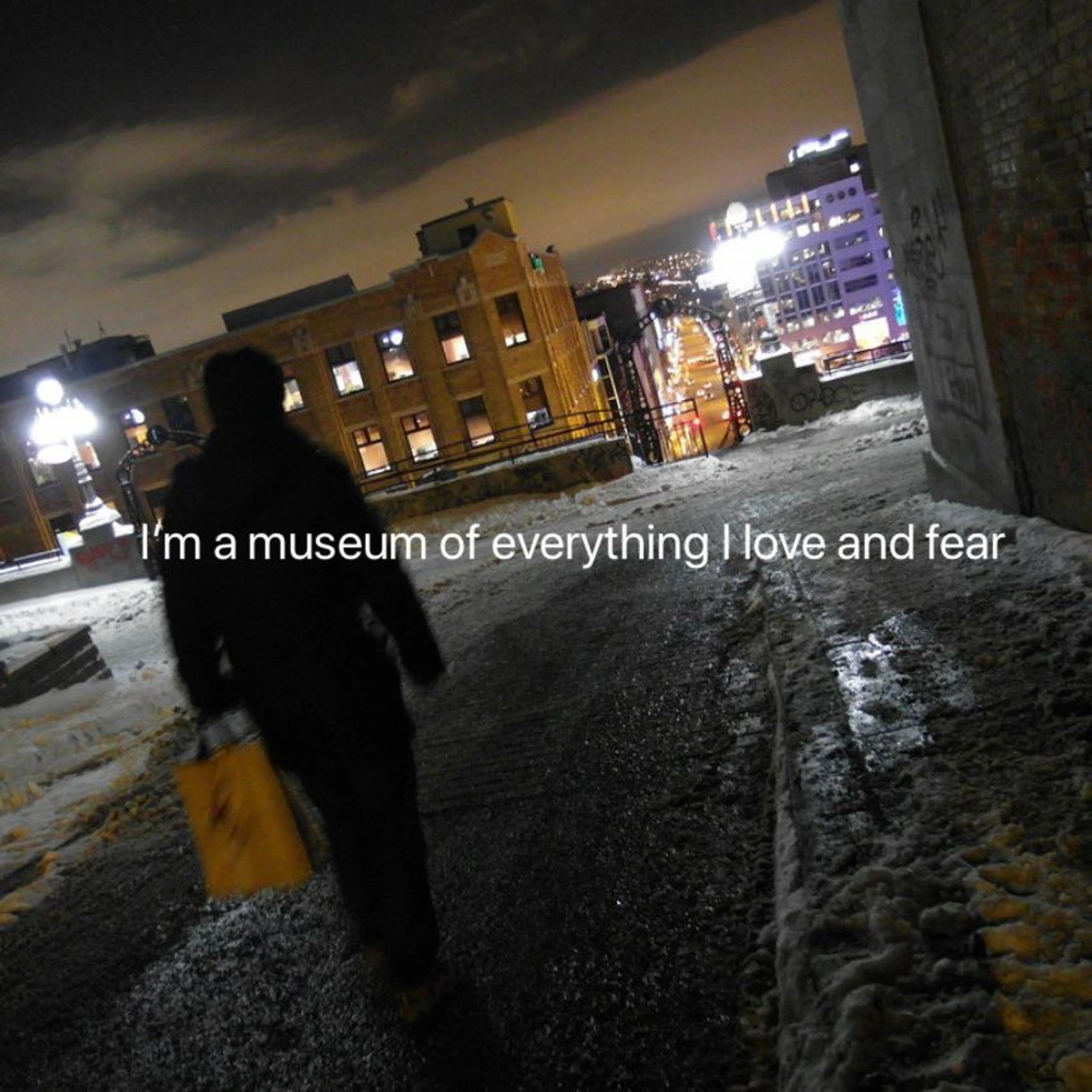 i'm a museum of everything i love and fear