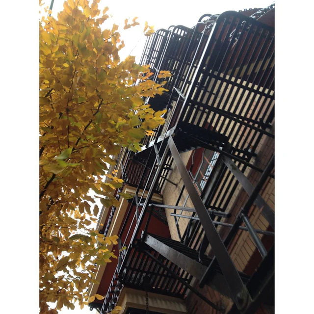 noraware - perfume @zjay @vercettiprada