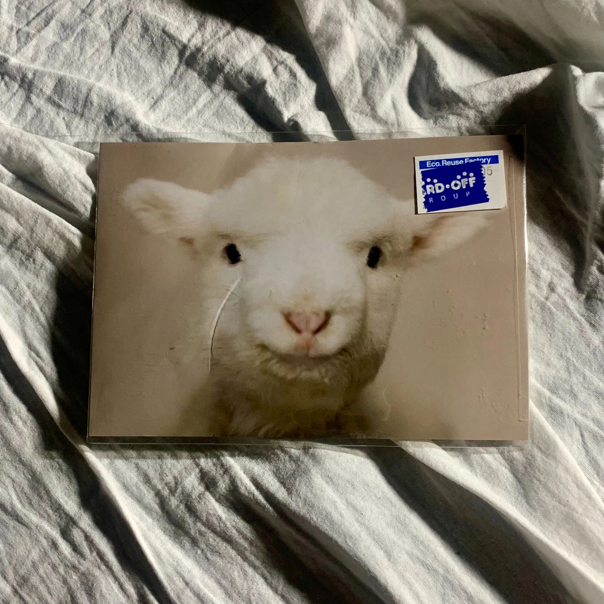 seaketa - Excessive Relaxation