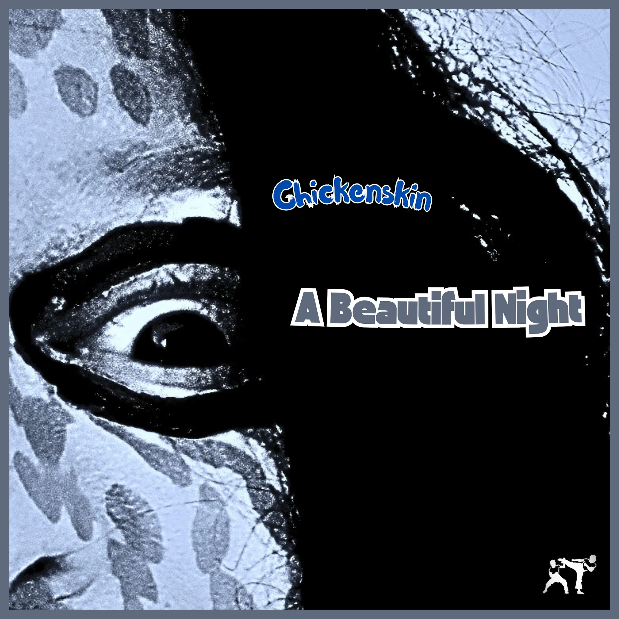 Chickenskin - A Beautiful Night