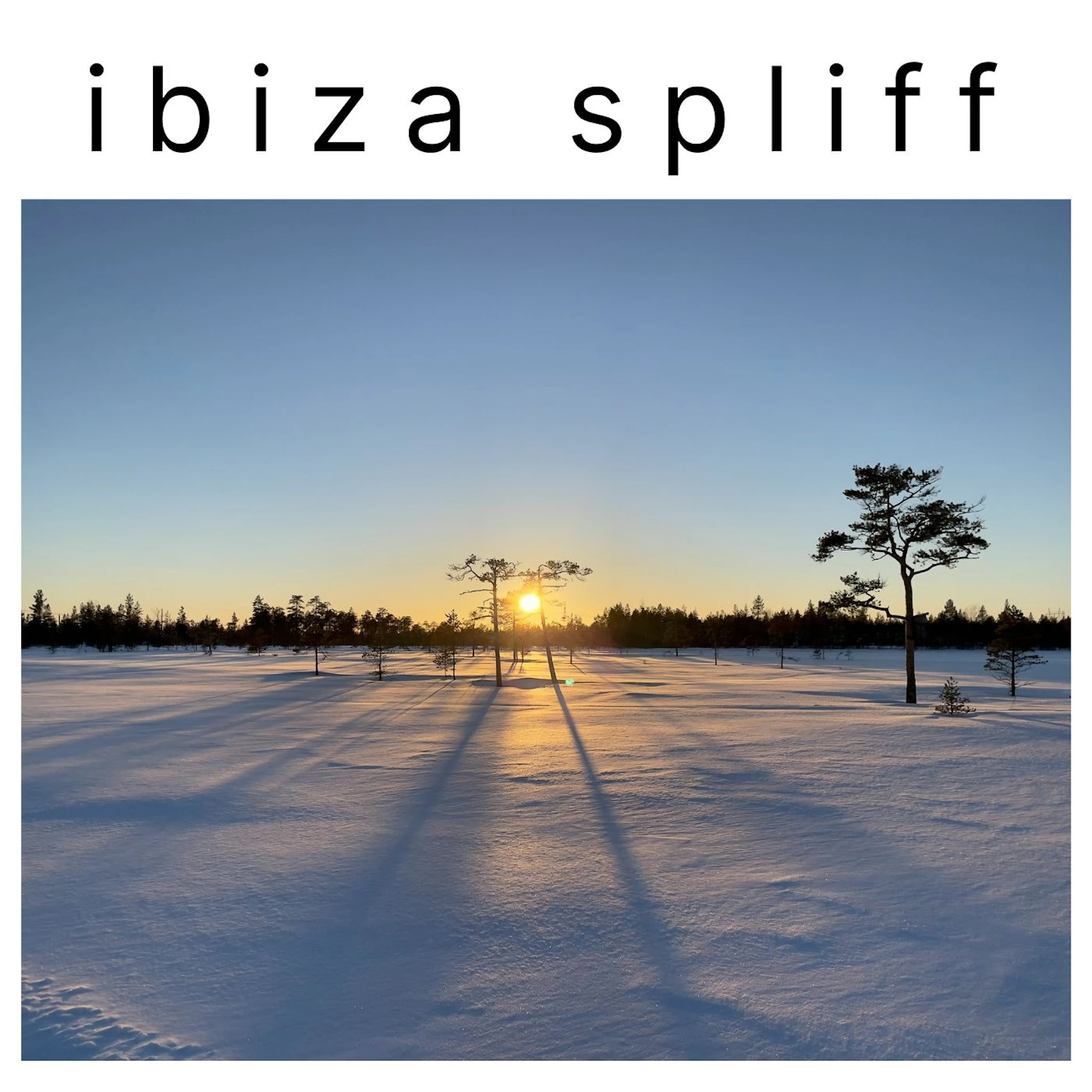 Ibiza Spliff - Not How It Works