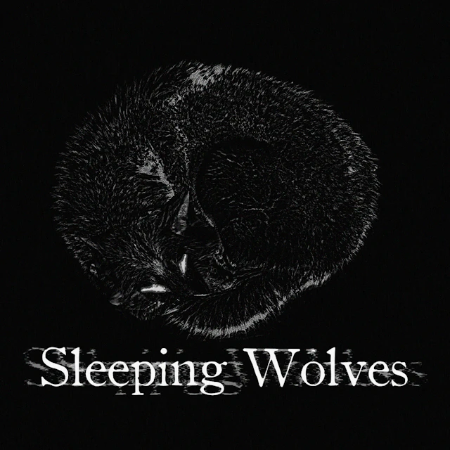 Sleeping Wolves - Brighter Days Ahead