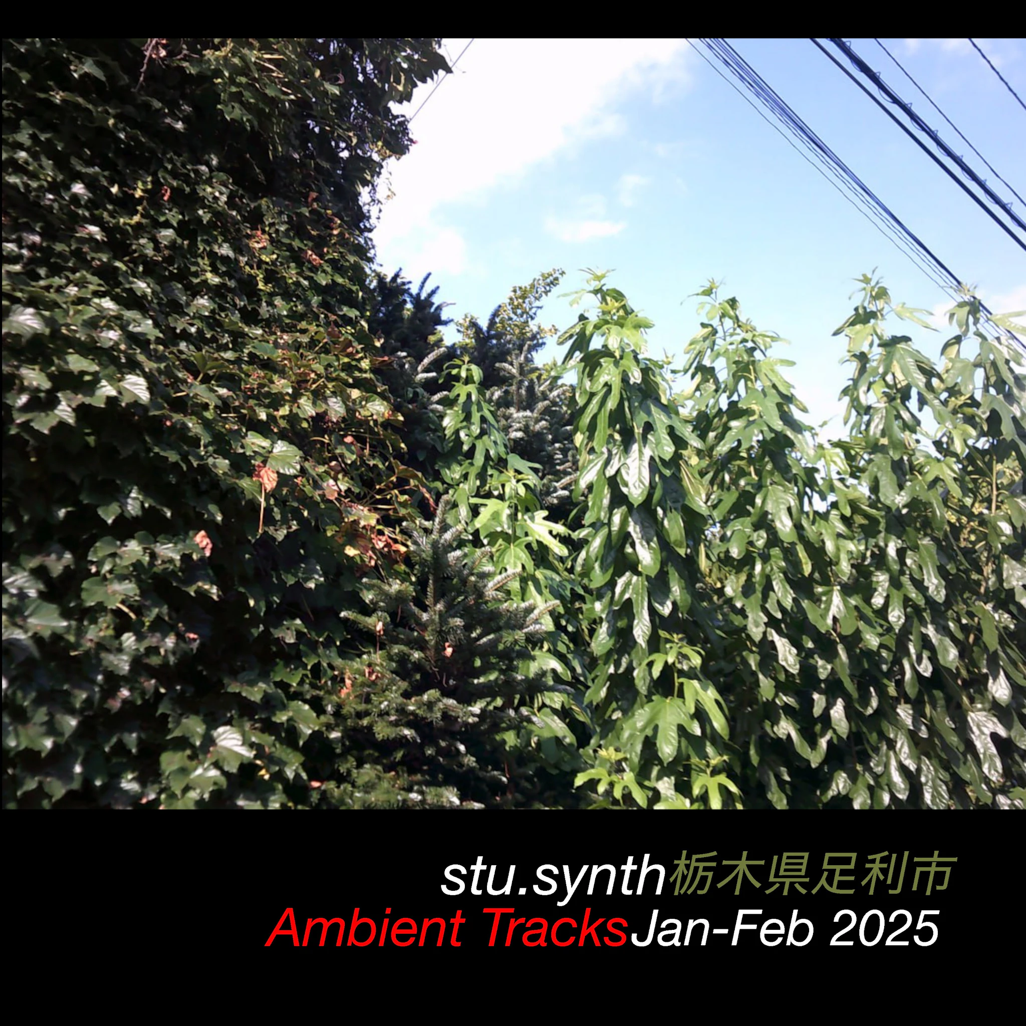 Ambient Tracks - Stu.Synth