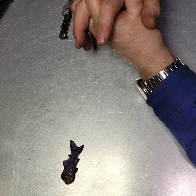 indmi - attempting noise