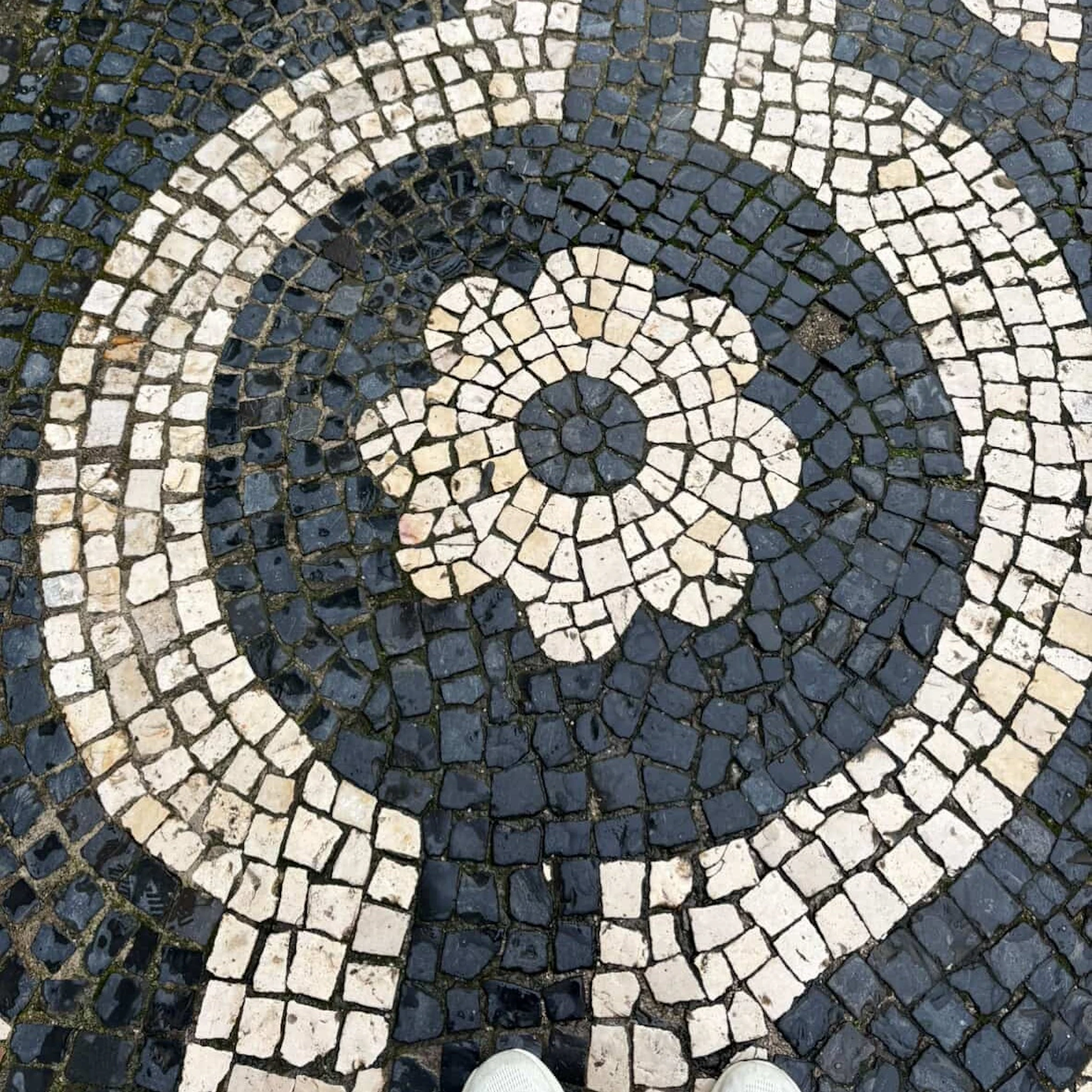 CANYOUFEELTHEFROST BABYGIRL