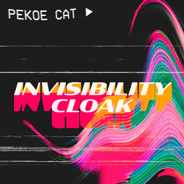 Pekoe Cat - Invisibility Cloak