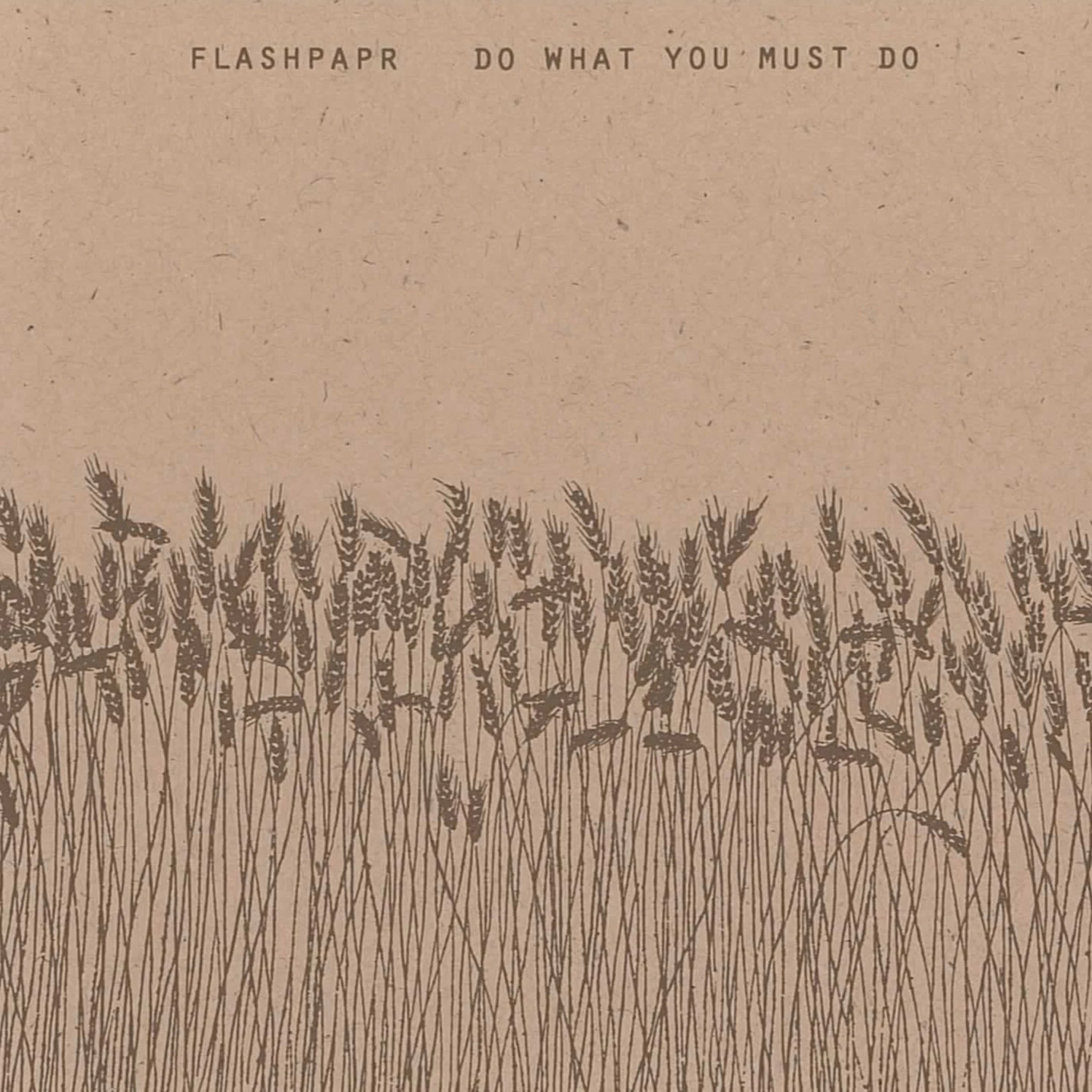 Flashpapr - Do What You Must Do