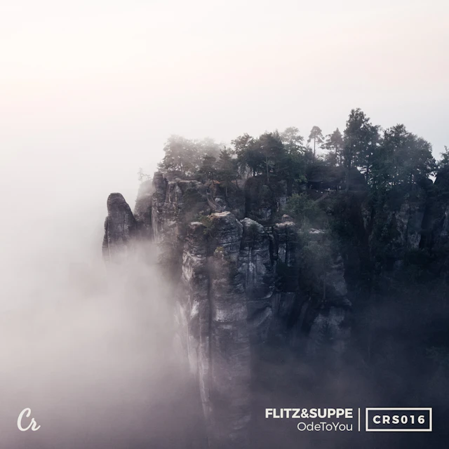 Flitz&Suppe - OdeToYou
