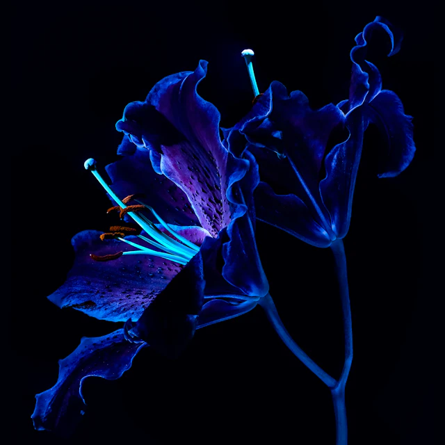 James Heather - Modulations: EP2