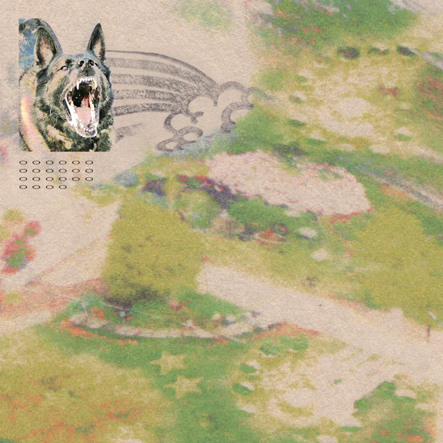 feeble little horse - Girl with Fish