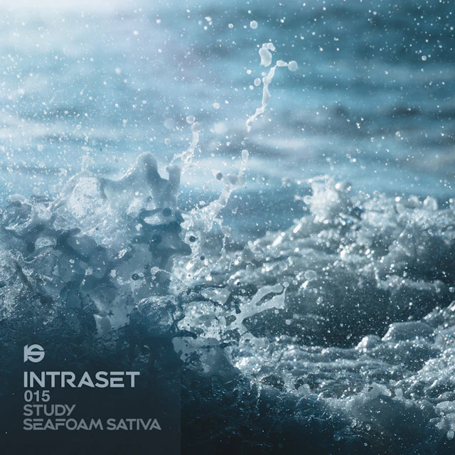 Callisto, Maxina and Letsko - STUDY: Seafoam Sativa