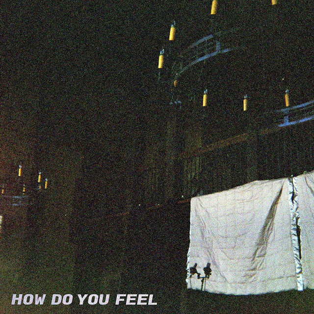 Post Animal - How Do You Feel