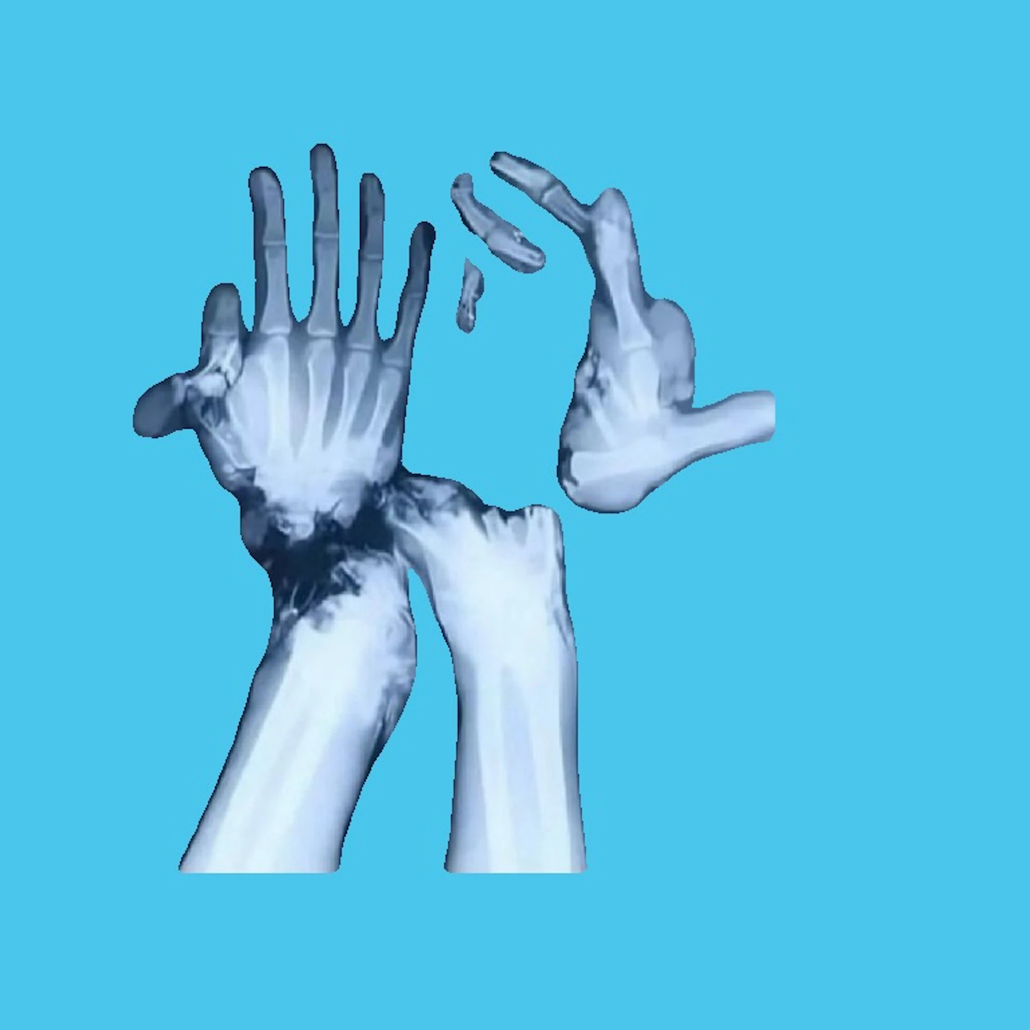 grounds - three hundred thirty three