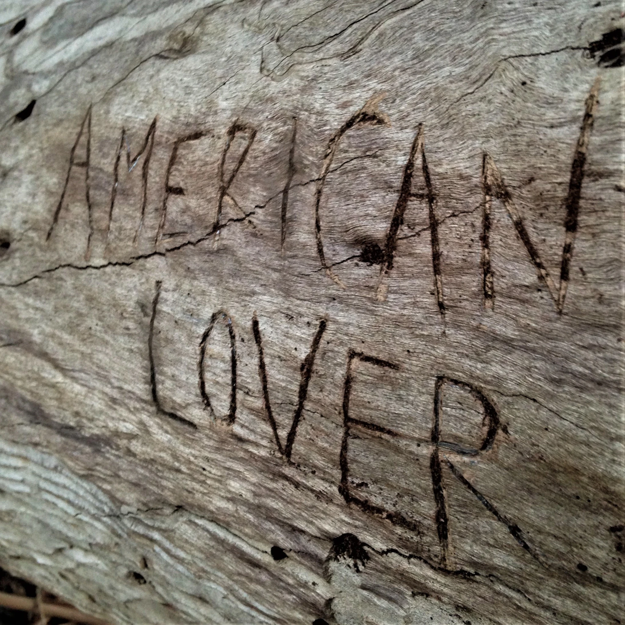 Chris Dunsmore - American Lover