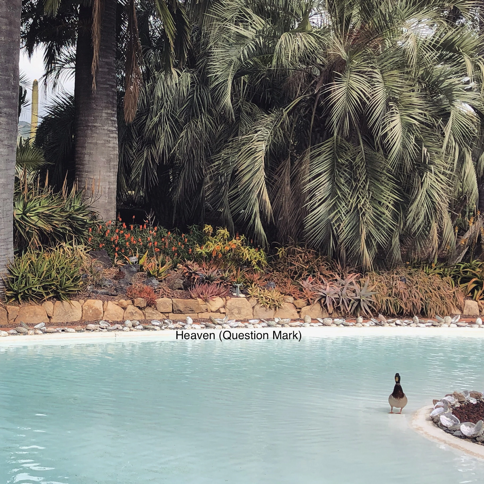 Chris Dunsmore - Heaven (Question Mark)