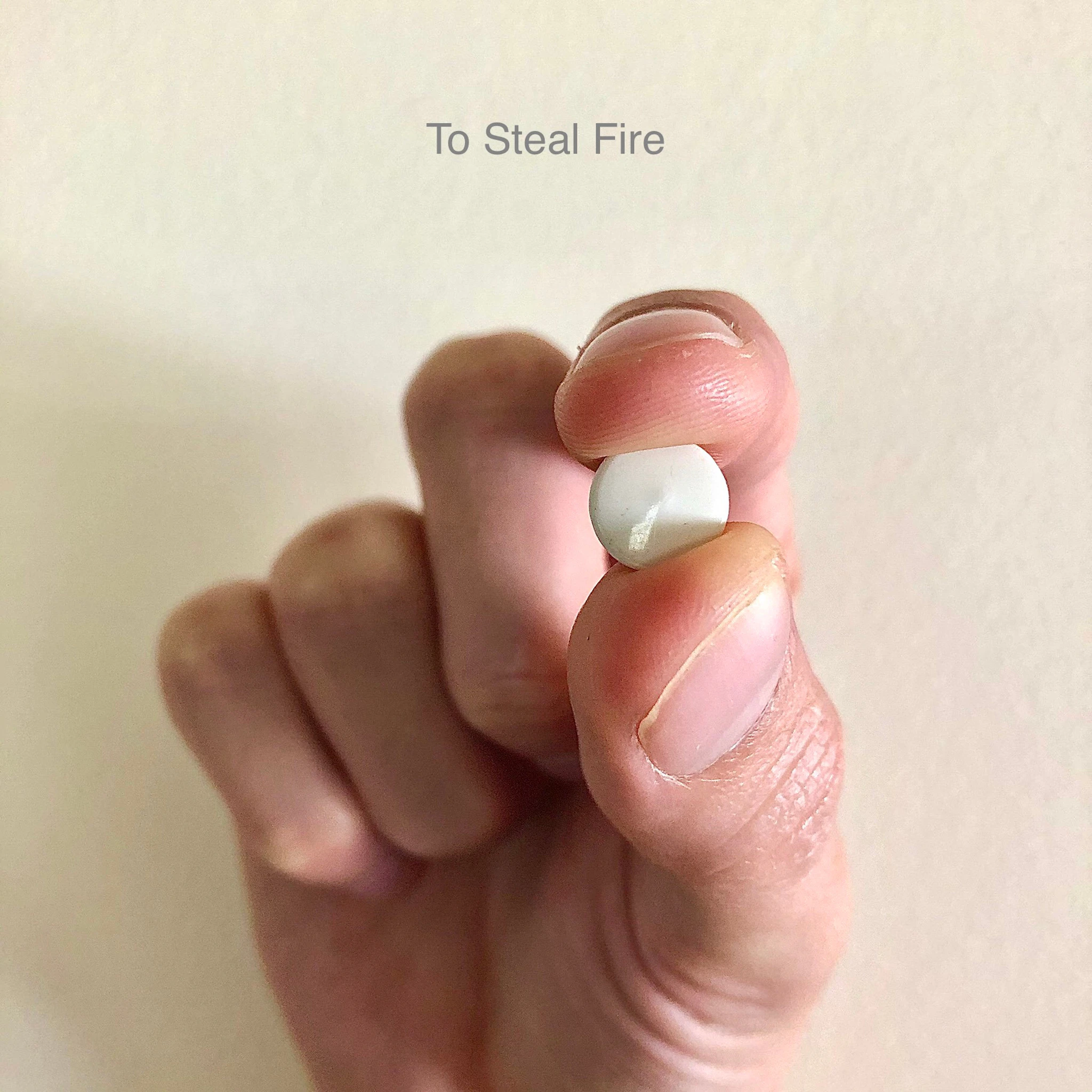 Chris Dunsmore - To Steal Fire