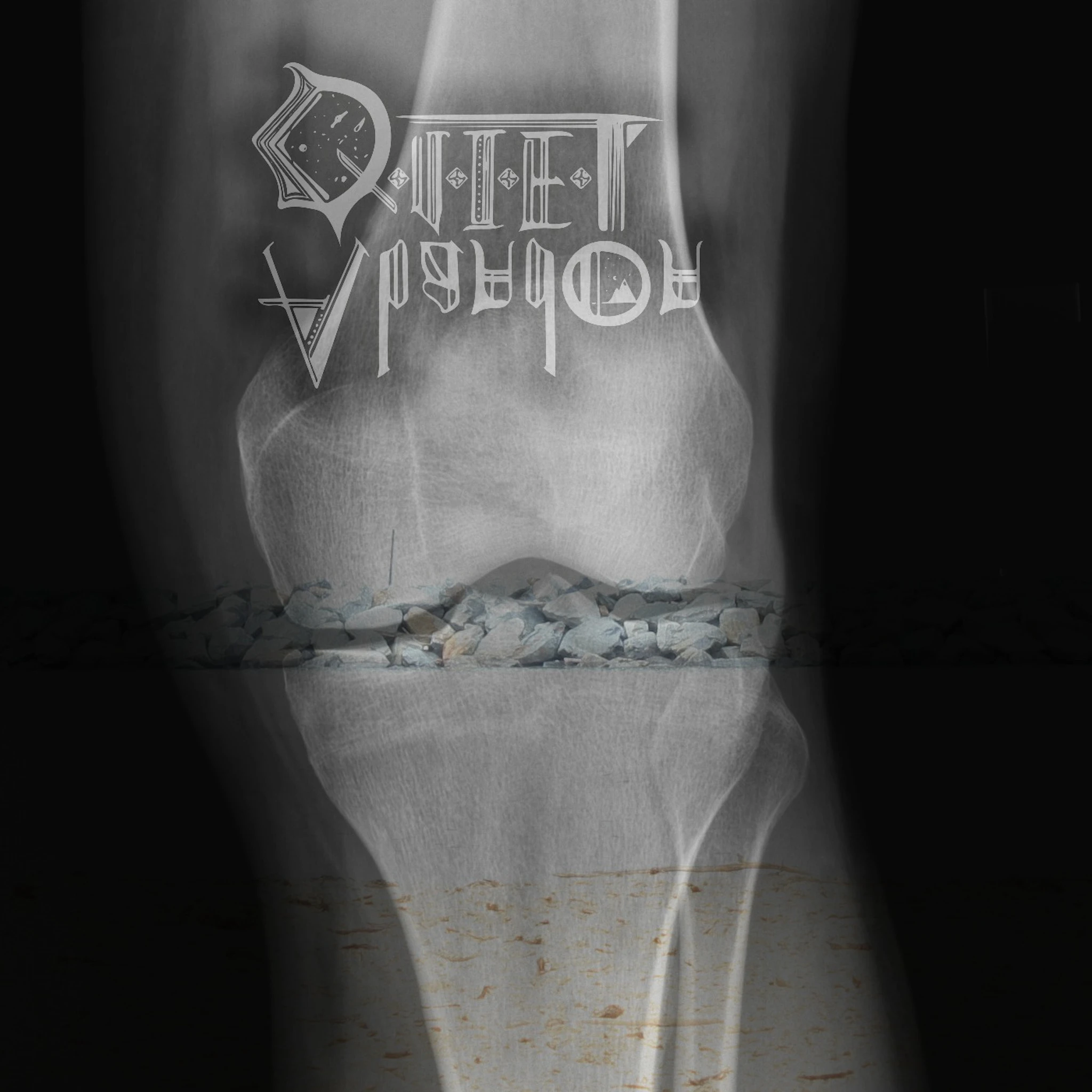 quiet abandon - new marrow