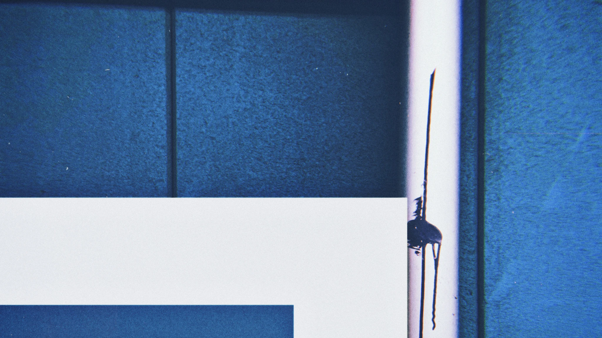 Reports of Oval - Structure