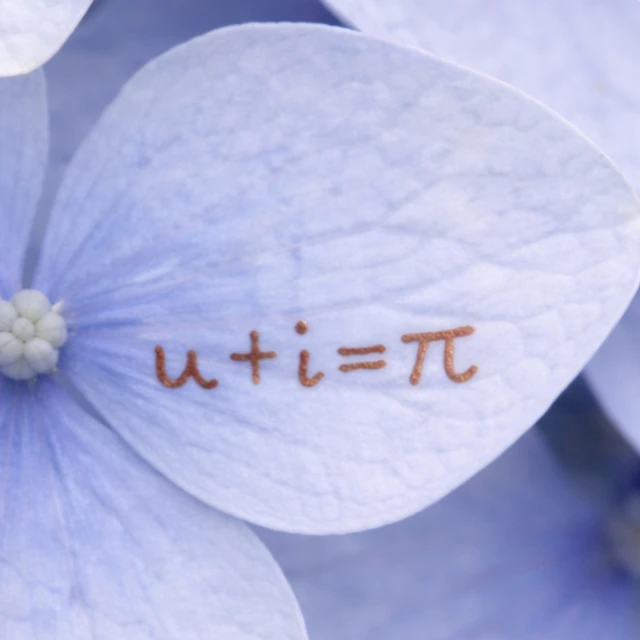 Josh Reim - u + i = π