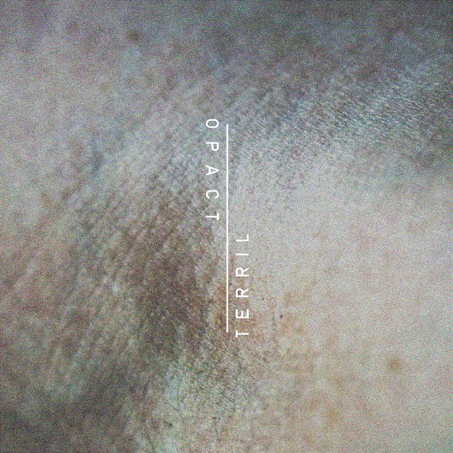 Opact - Split EP