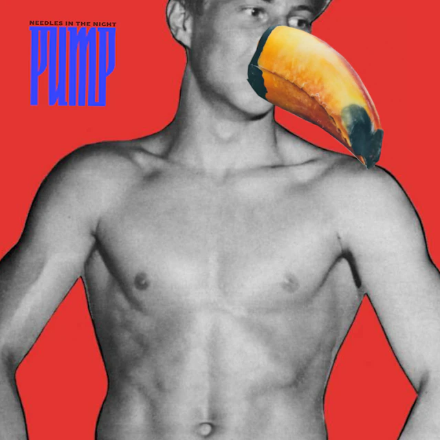 Needles In The Night - Pump