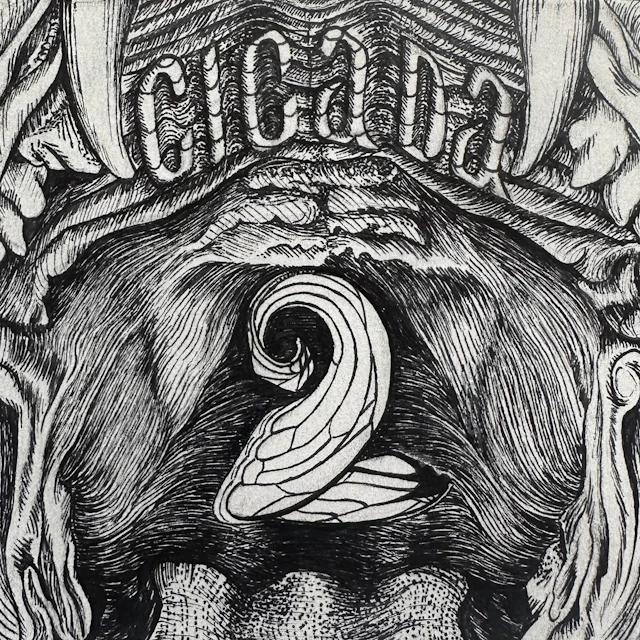 CICADA 2