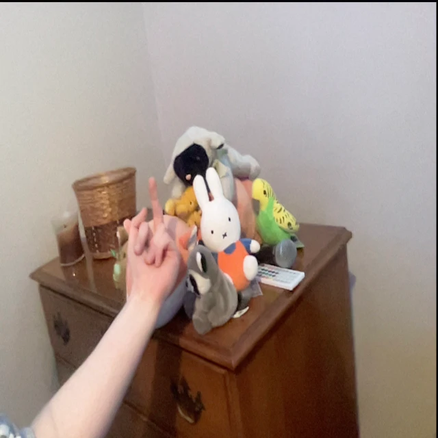 i wish i was in the NBA