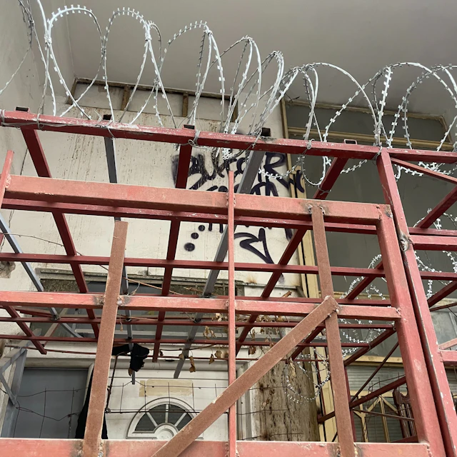 yottie - checkered flag