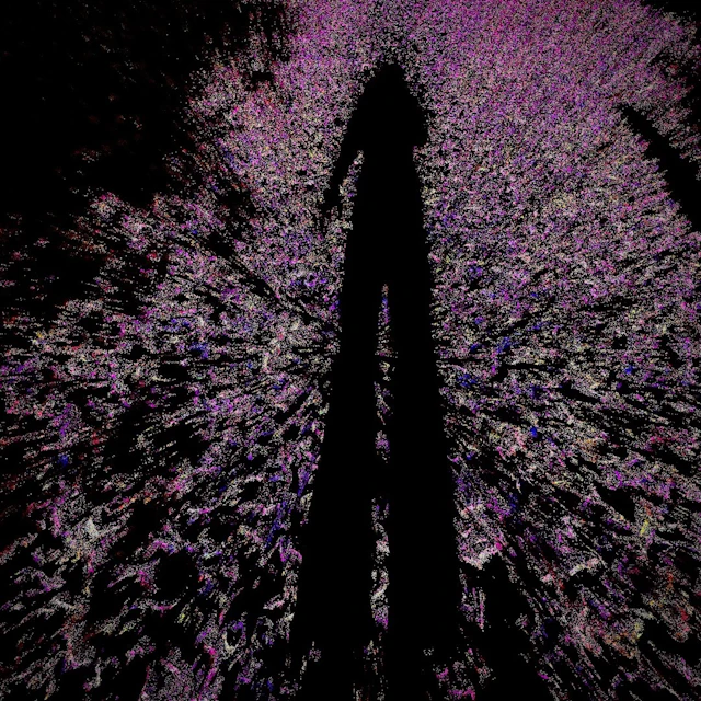 Ayla Loon - Chiroptera