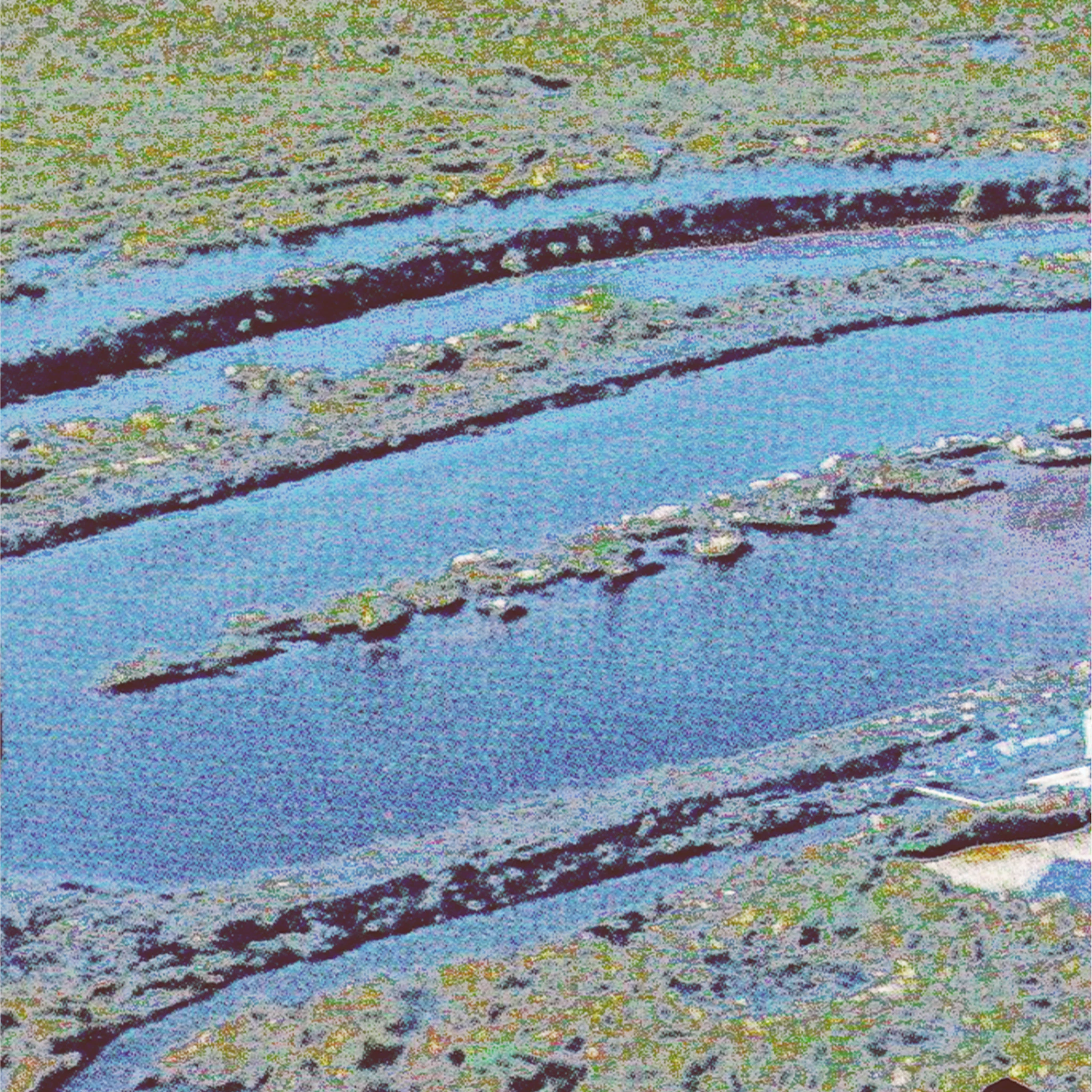 Ayla Loon - Flying Dream