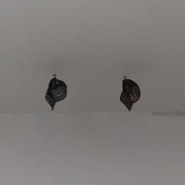 Forma Besdna - Travel Light