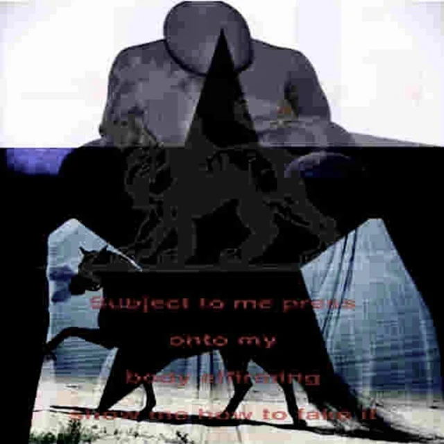 Denimontaro - 86 affirmation