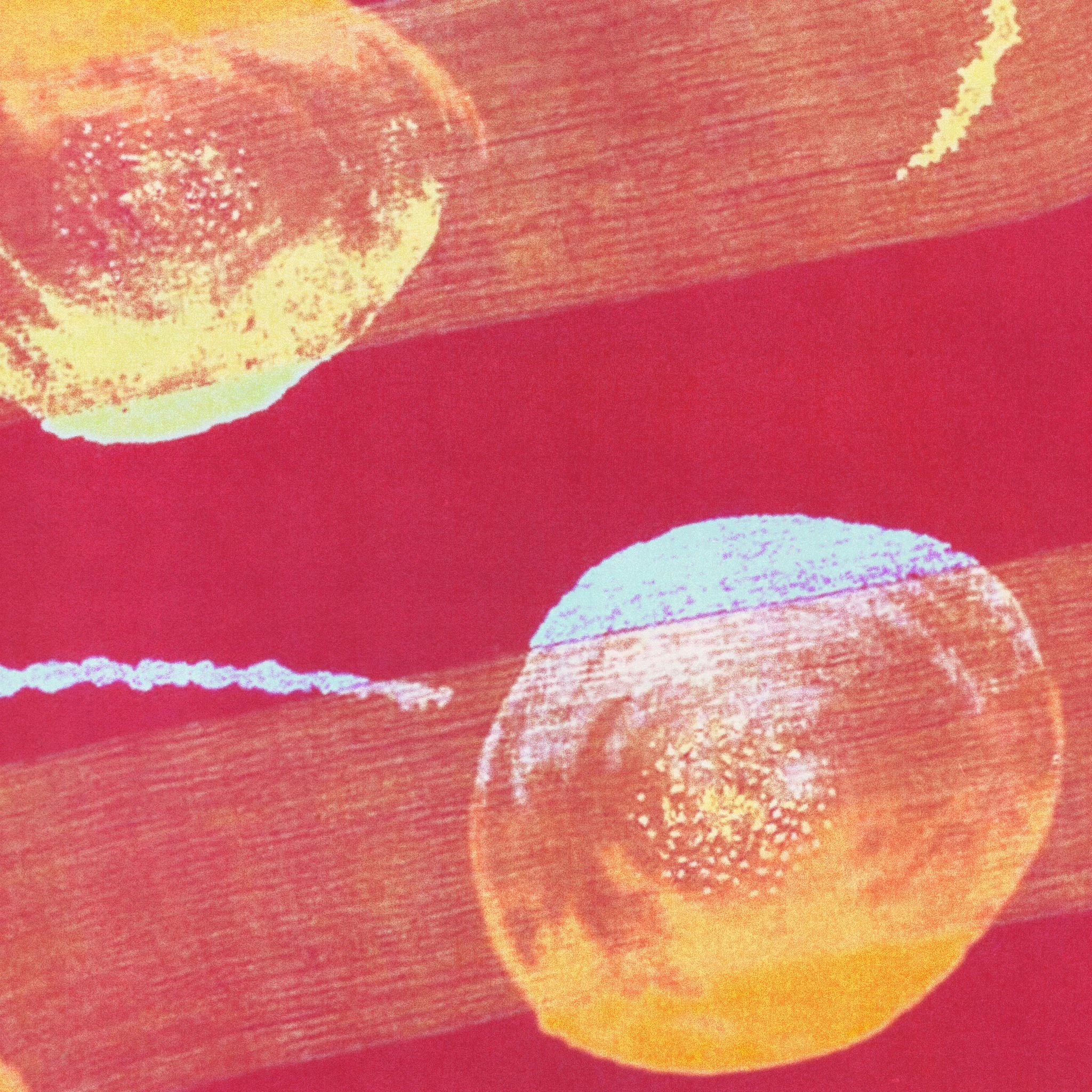 Dead Links - Another World