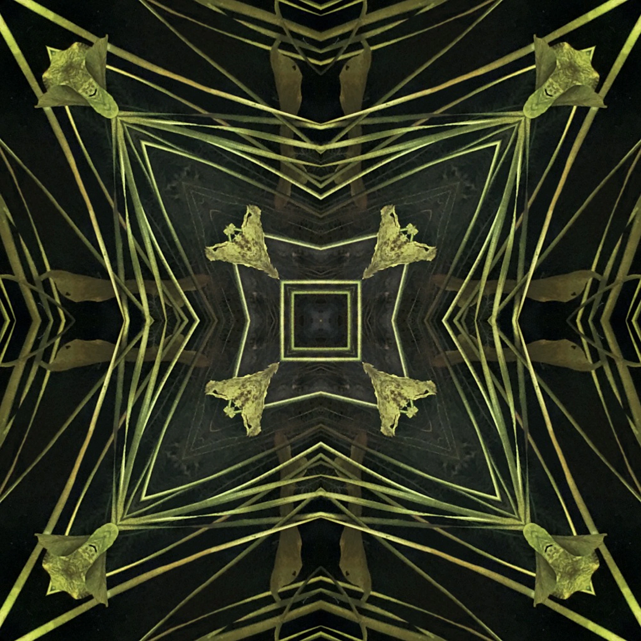 Elton Vincent - □♢□