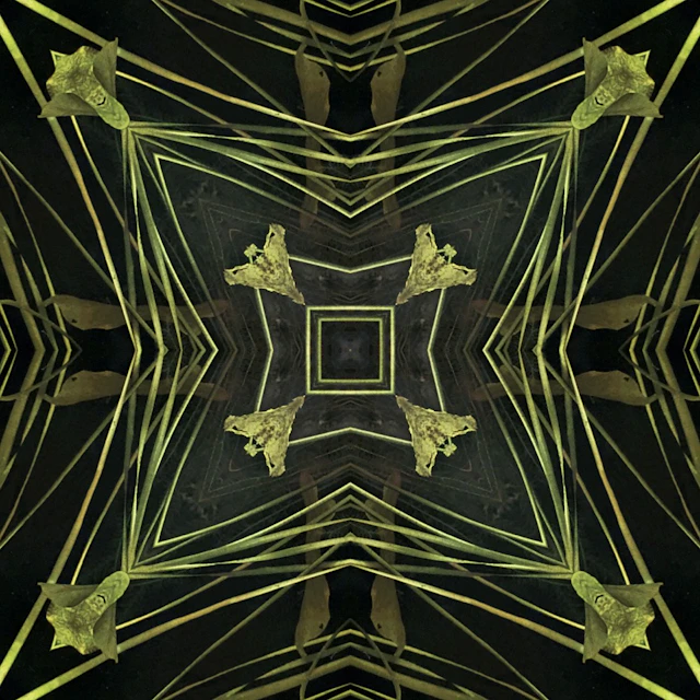 Elton Vincent - □♢□