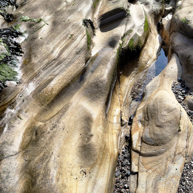 Gustav Whittaker - Heal the Heartbreak