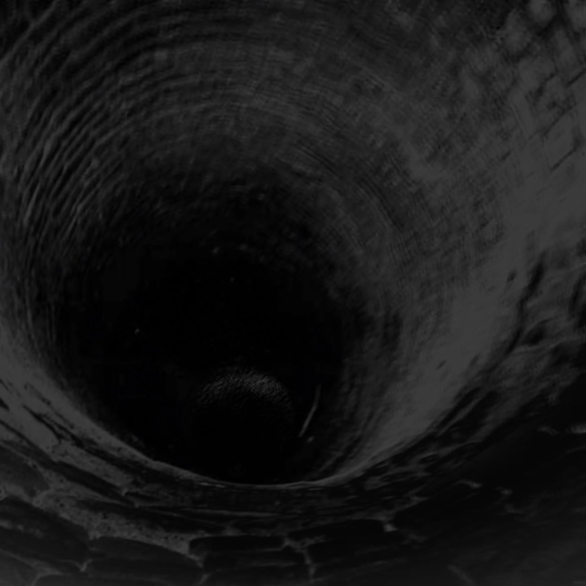 Trembler - World Doesn't Want Me