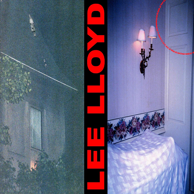 Lee Lloyd - MEETINGTOTALFREEDOM