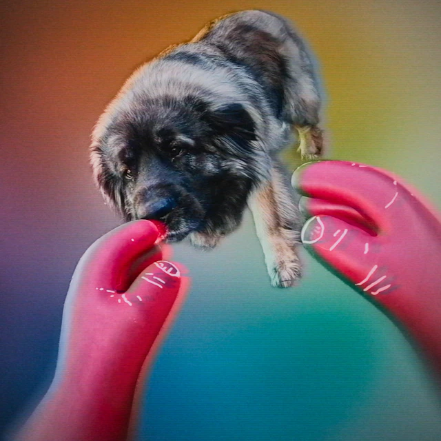 Andrew Jim Gannon - As The Years Roll Back