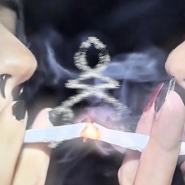 Tove Lo - Habits (Edessa Ver.)