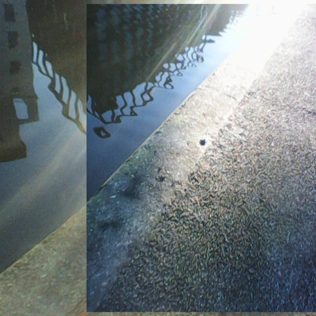 Birdfeeder - Diffuser (EP)